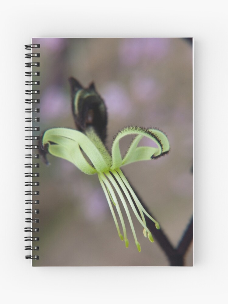Thumbnail 1 of 3, Journal, Black as the night designed and sold by mistered.