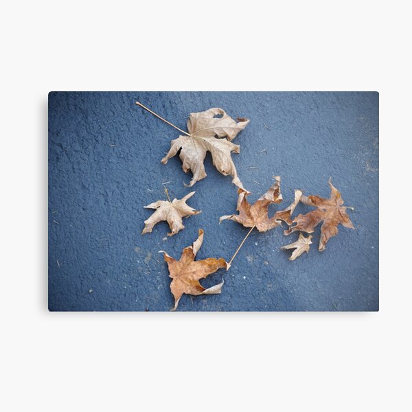 Cheers for Nature's Comp Metal Print