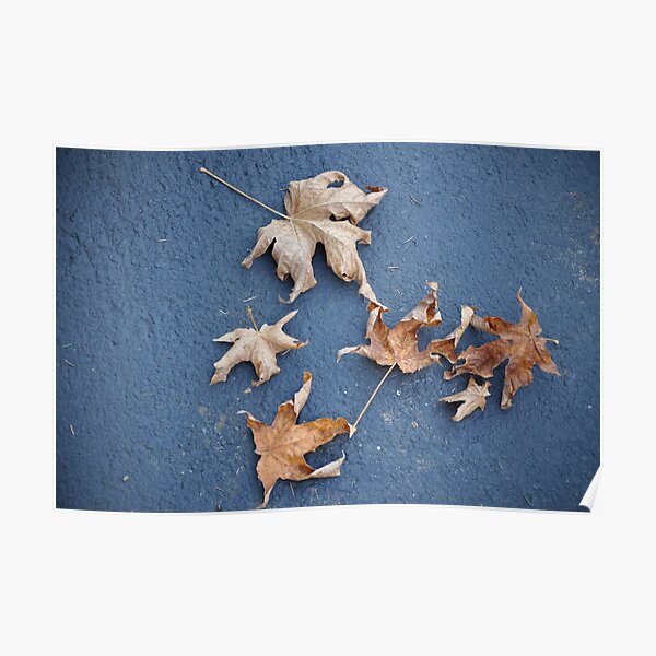 Cheers for Nature's Comp Poster