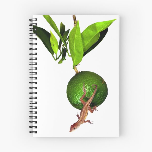 Aperçu de l'œuvre Brown Anole créée et vendue par Tyler Thomas.