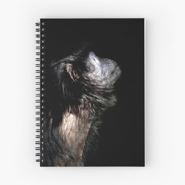 Item preview, Ebony designed and sold by Tamara  Kenneally.