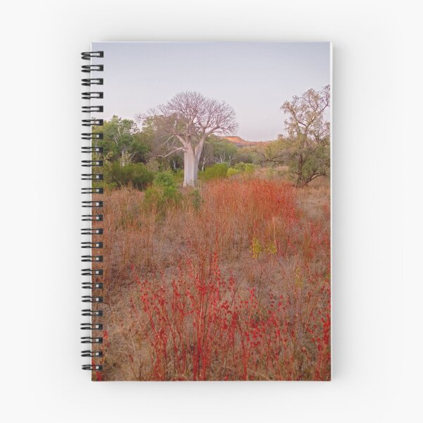 Item preview, Boab in field of rosella designed and sold by Stephen Colquitt.