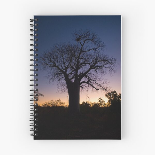 Item preview, Boab at sunset  designed and sold by Stephen Colquitt.