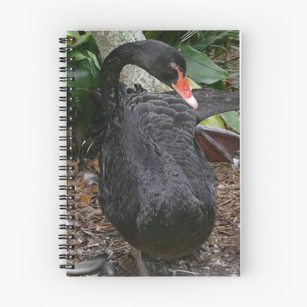 Item preview, Black Swan designed and sold by WTBird.
