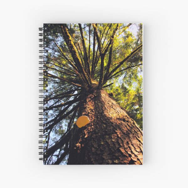 Item preview, Tree designed and sold by MaluC.