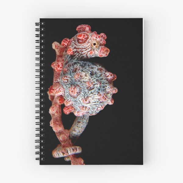 Item preview, Pregnat pigmy seahorse designed and sold by Esteban  Toré.