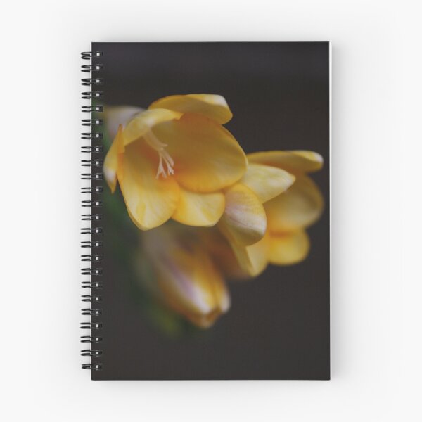 Item preview, Freesias designed and sold by Joy Watson - Natural Light Photography .