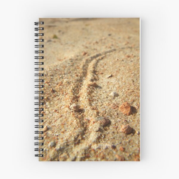 Item preview, Sigue a Randle designed and sold by Bindi Hatcher.