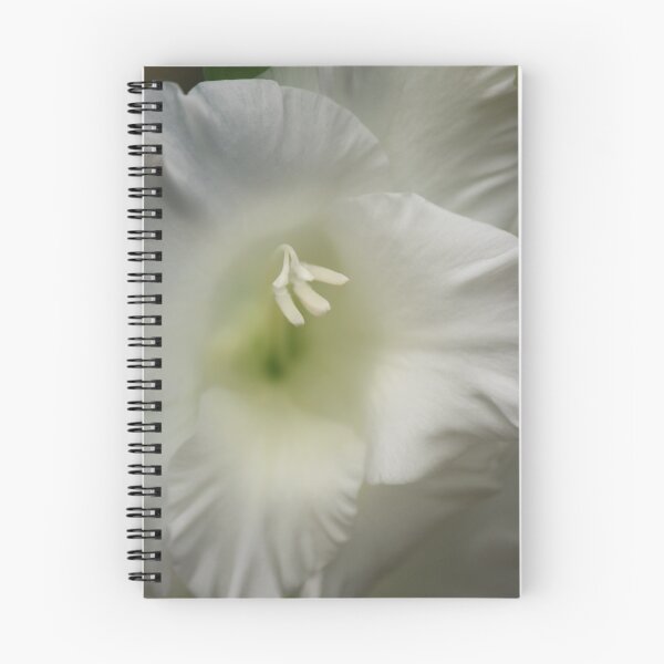 Item preview, Purity designed and sold by Indrani Ghose.