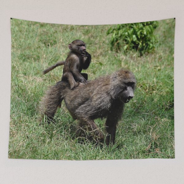 Item preview, Baboon with baby Papio monkey Africa designed and sold by Schoensl.