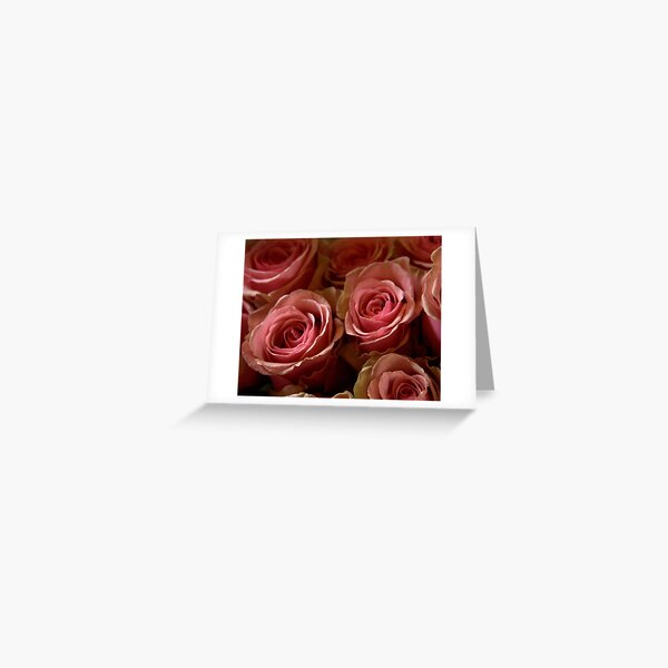 Pink Roses Greeting Card