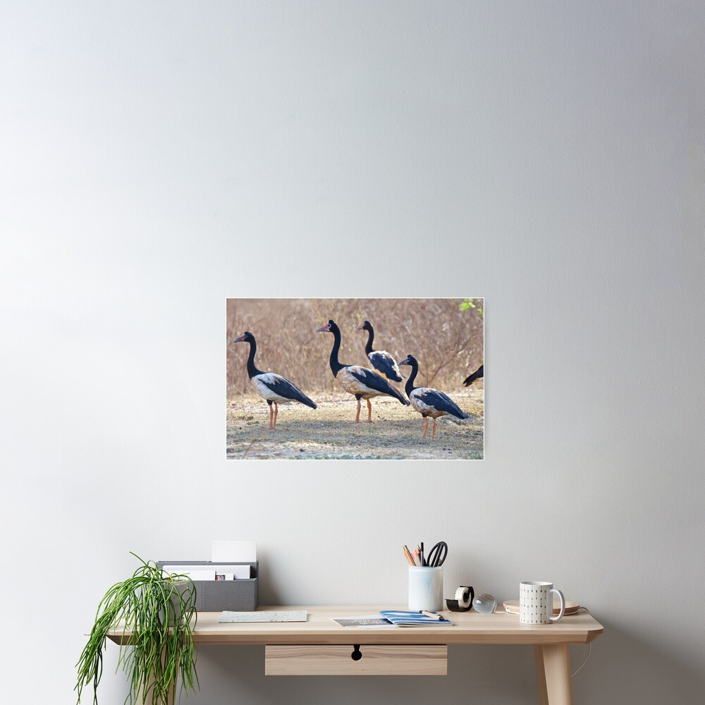 Item preview, Poster designed and sold by tasmanianartist.