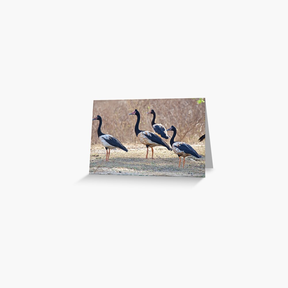 Item preview, Greeting Card designed and sold by tasmanianartist.