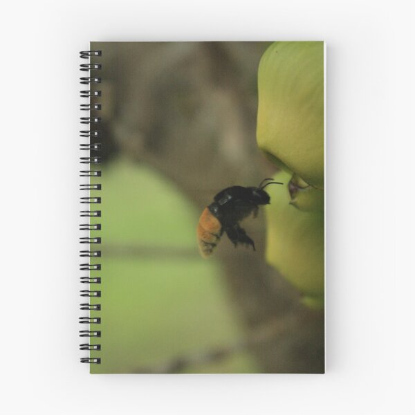Artikelvorschau, Bee entworfen und verkauft von BLAMB.