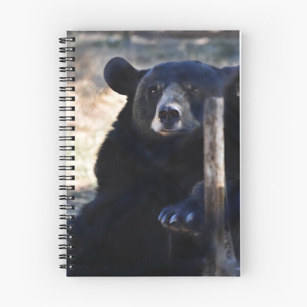 Item preview, bear hugs for food designed and sold by Jeannie Peters.