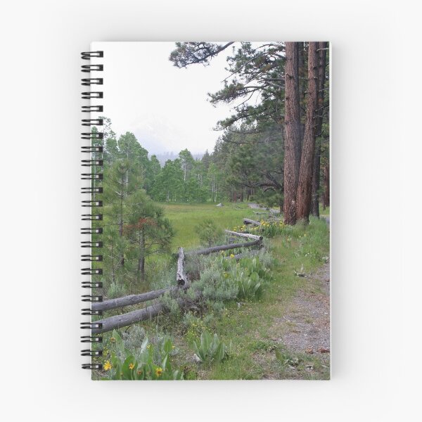 Item preview, "Split Rail Fence" designed and sold by Lynn Bawden.
