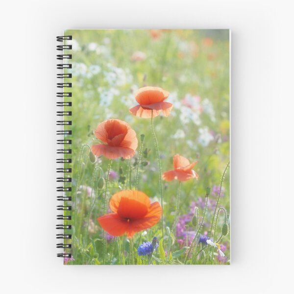 Item preview, Poppy Days designed and sold by Richard Horsfield.
