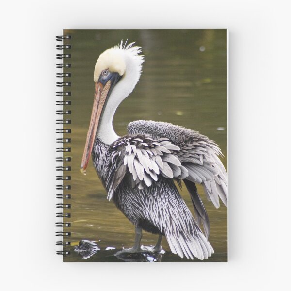 Artikelvorschau, Ruffled Feathers entworfen und verkauft von Donna Wilkins.
