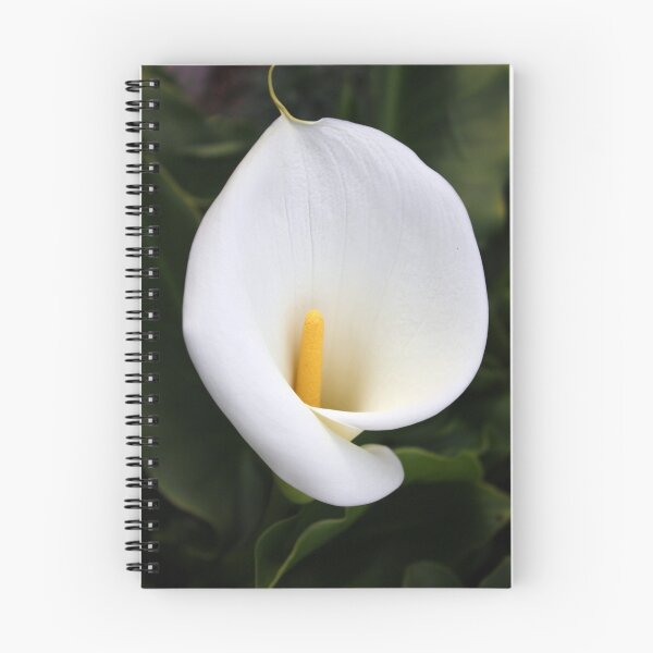 Item preview, arum lilly 2 designed and sold by Karen E Camilleri.