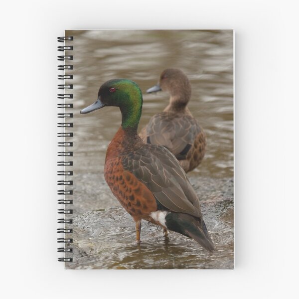 Item preview, Chestnut Teals designed and sold by margotk.