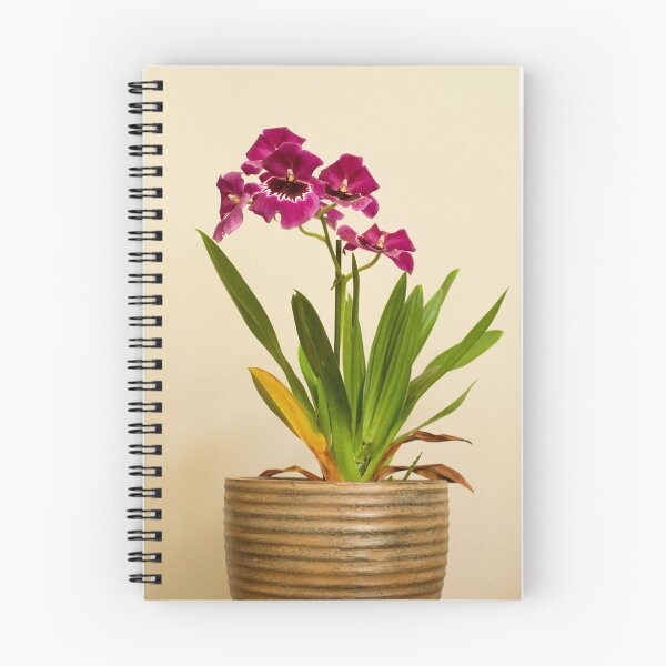 Artikelvorschau, Orchidee entworfen und verkauft von DonDavisUK.