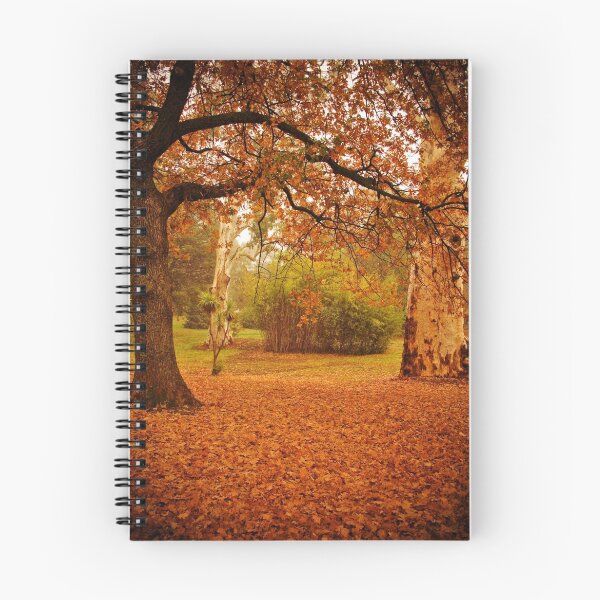 Item preview, Autumn leaves cover the ground at La Trobe Uni designed and sold by Elana Bailey.
