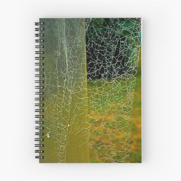 Item preview, Natural Lace Curtain designed and sold by Bryan Spellman.