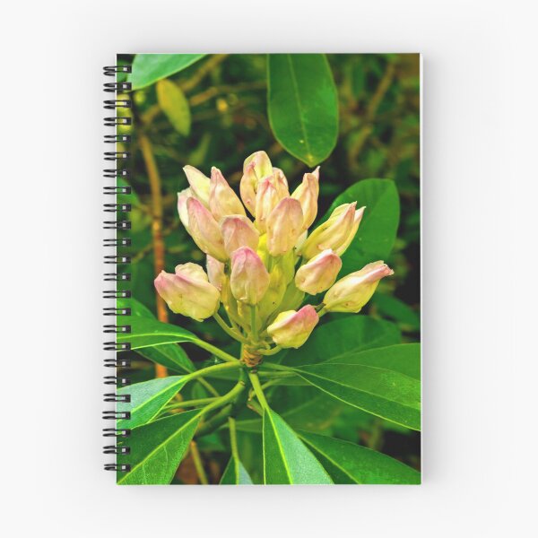 Item preview, Rhododendron #1 designed and sold by Trevor Kersley.