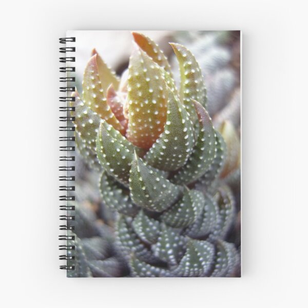 Artikelvorschau, Wierd and Wonderful Plant entworfen und verkauft von RetroLink.