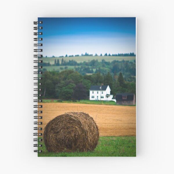 Item preview, The Hay Bale designed and sold by Charles Plant.