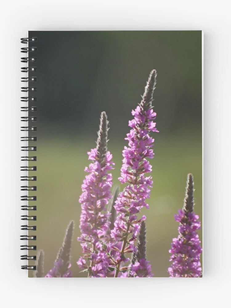 Thumbnail 1 of 3, Journal, Simplicity designed and sold by Rebecca Wilcox.