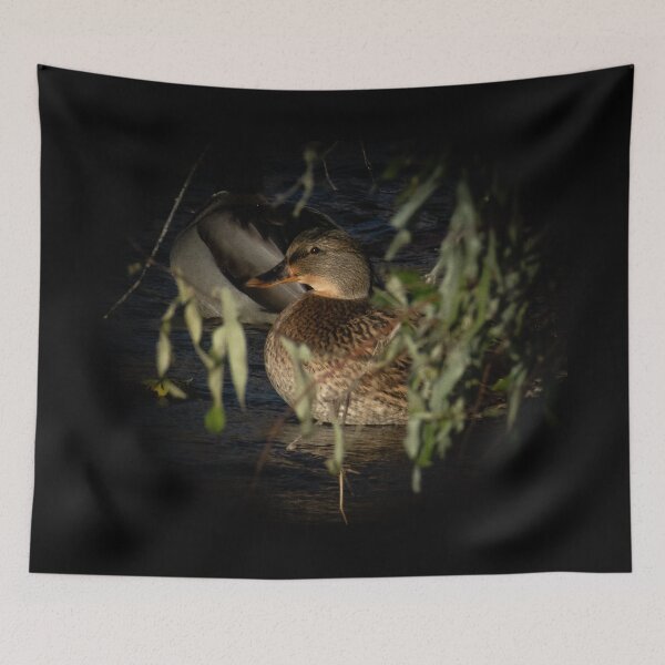 Item preview, Female Mallard In The Spotlight designed and sold by Len Bomba.