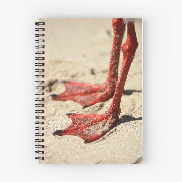 Item preview, Lucky Legs designed and sold by Patricia  Knowles.