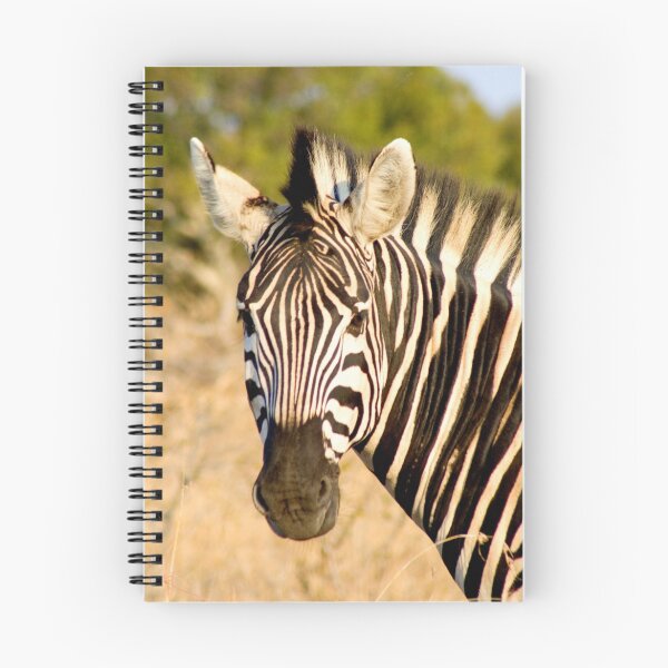Artikelvorschau, Zebra entworfen und verkauft von Corien.