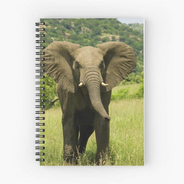 Artikelvorschau, Africa Elephant entworfen und verkauft von Corien.