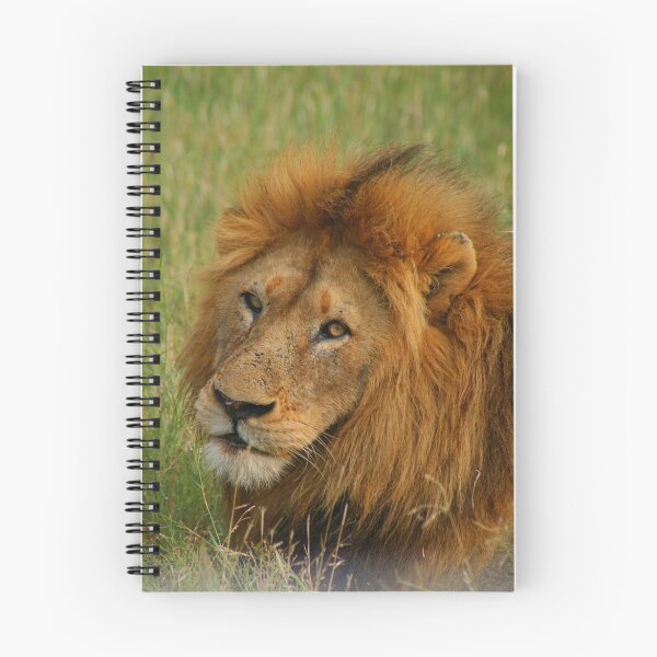 Item preview, Lion designed and sold by Corien.