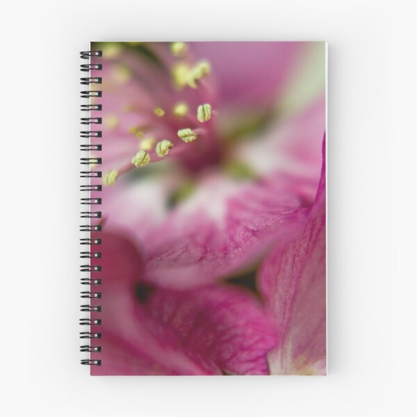 Item preview, Intimacy designed and sold by Ebbers.