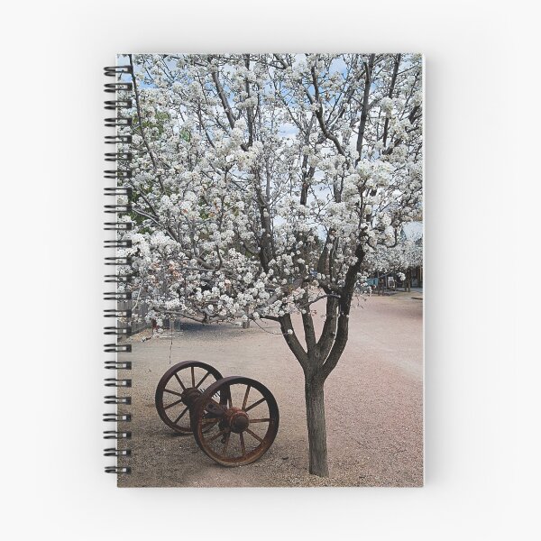 Item preview, Spring in Echuca 1 designed and sold by Seesee.