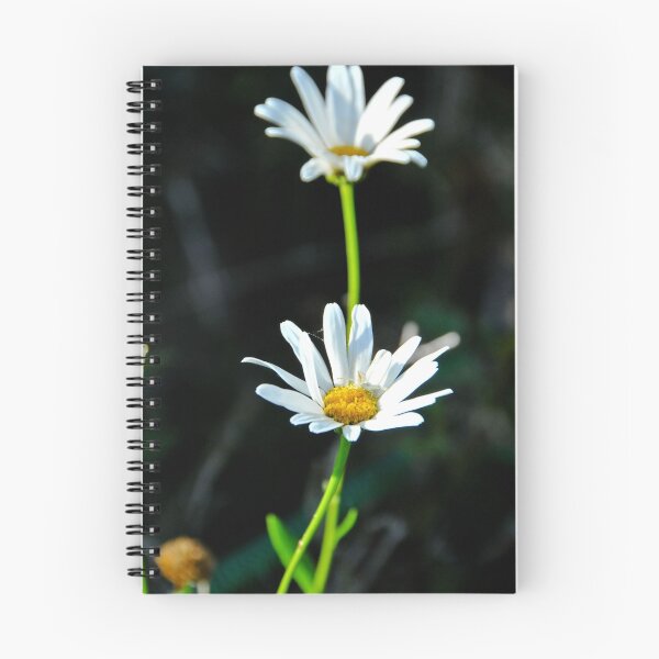 Item preview, Double daisy designed and sold by Pat Shawyer.