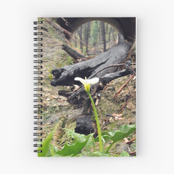 Item preview, Regeneration - Whittlesea designed and sold by KellieJayne.