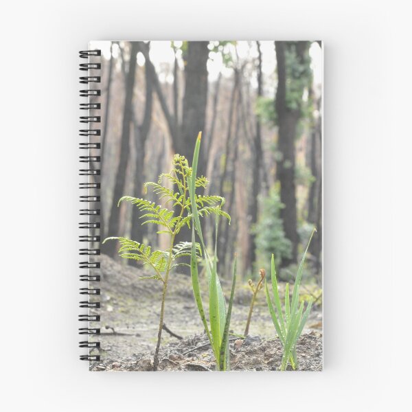 Item preview, Baby Tree ferns  designed and sold by KellieJayne.