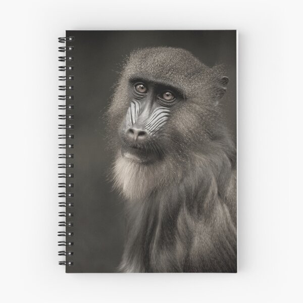 Item preview, Mandrill designed and sold by Natalie Manuel.