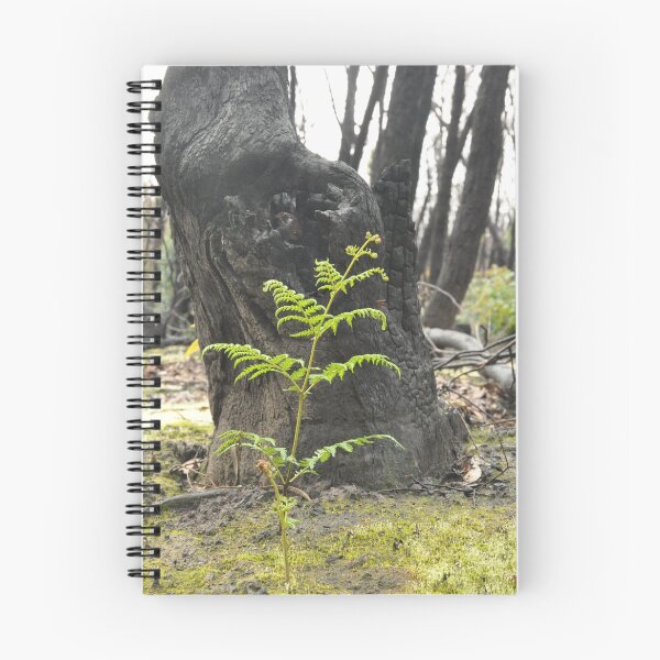 Item preview, Regenerating Tree fern designed and sold by KellieJayne.