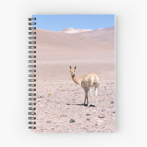Item preview, Vicuna high in the altiplano designed and sold by Travelimages.com.au.