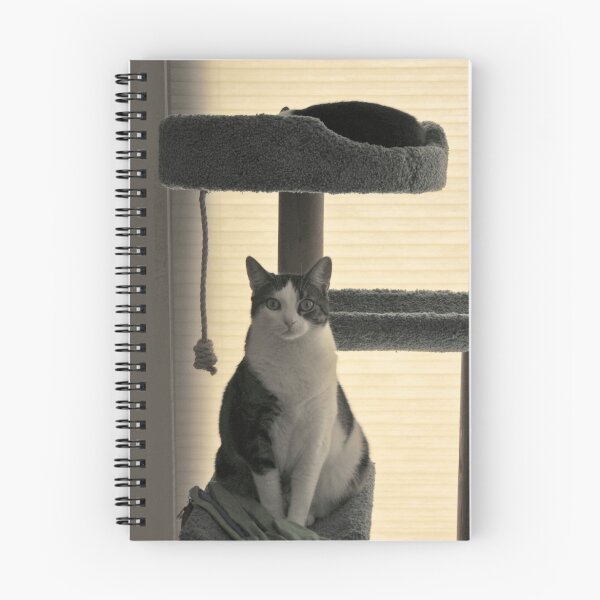 Item preview, He won't get off my condo.... designed and sold by Brenda Dow.