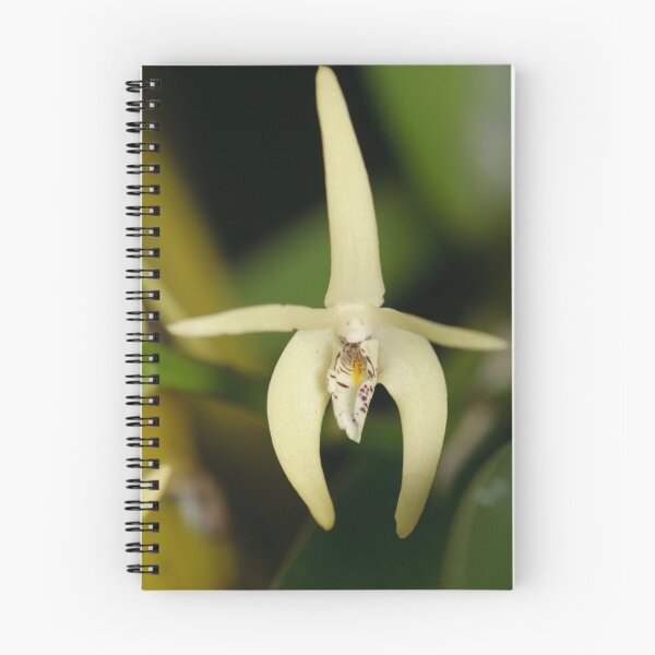 Item preview, Sydney Rock Orchid designed and sold by Andrew Trevor-Jones.