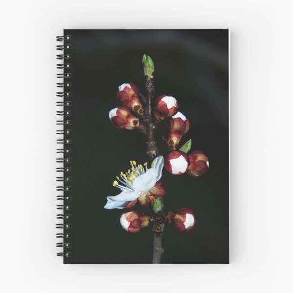 Item preview, bursting buds designed and sold by Clare McClelland.