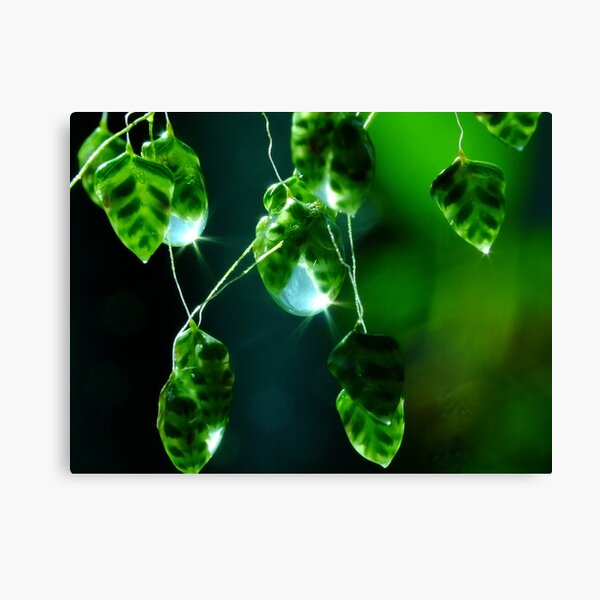 Item preview, Raindrops Keep Falling On My Head designed and sold by Gabrielle  Lees.