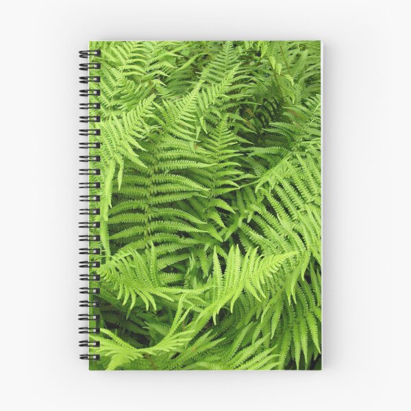 Item preview,  frondas verde oscuro que son suaves al tacto. ..... Se adapta a un borde sombreado o jardín de rocas ". ¿Quién soy yo para discutir con el RHS? designed and sold by Philip Mitchell.