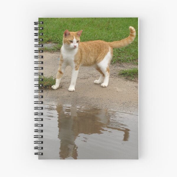 Item preview, kitty reflected designed and sold by tomcat2170.